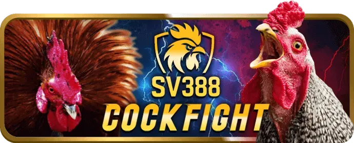 Cá cược bóng rổ và các môn thể thao khác tại win69 nổ hũ
